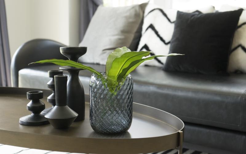 a plant in a vase on a table