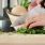a person cutting a salad